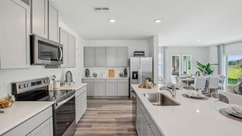 4536 Hidden Farm Drive, Plant City FL - photo 9 of 36