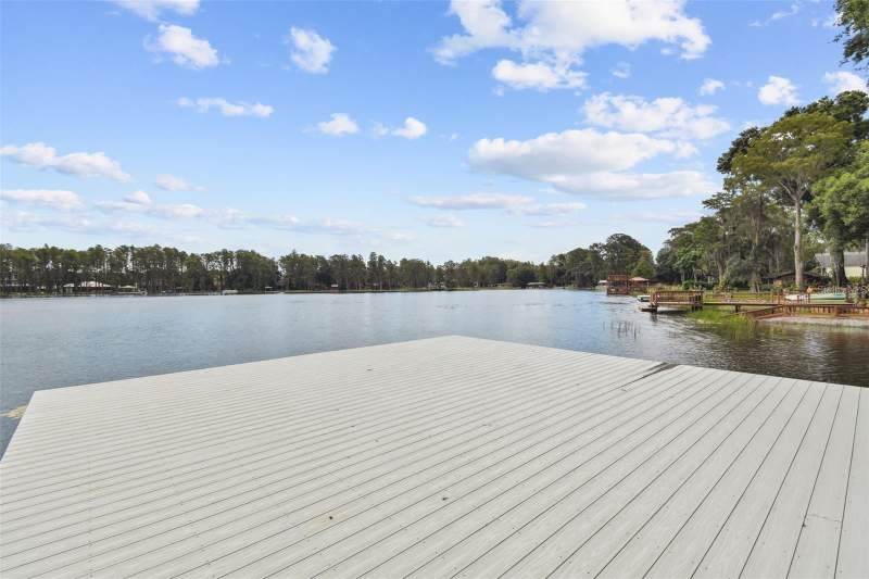 5 bedroom Single Family Residence at 17018 Dennis Road, Lutz, Lutz — photo 2