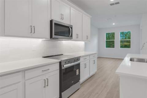 17572 Valleywood Parkway, Land O Lakes FL - photo 22 of 57