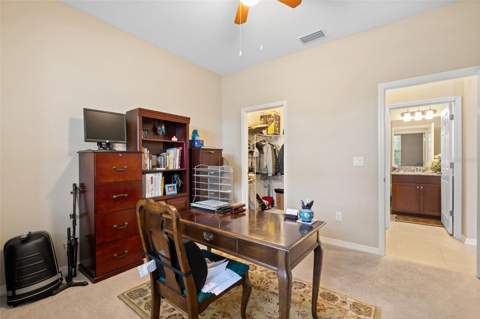 31046 Parrot Reef Court, Wesley Chapel FL - photo 11 of 99