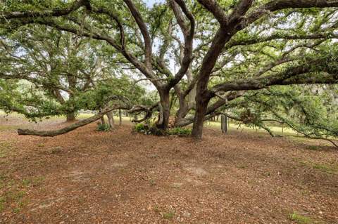 16104 Sandhill Road, Winter Garden FL - photo 9 of 48