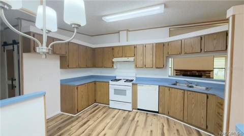 270 S Honey Bear Way, Lecanto FL - photo 6 of 6