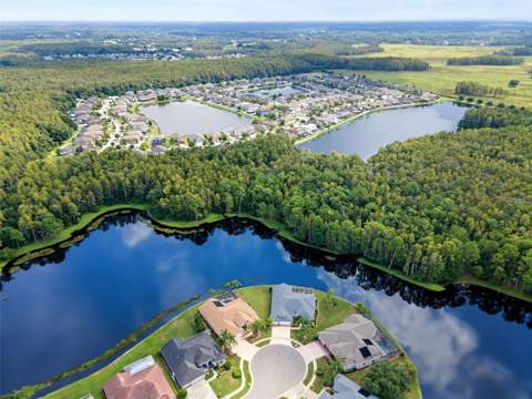 1300 Trimaran Place, Trinity FL - photo 6 of 6