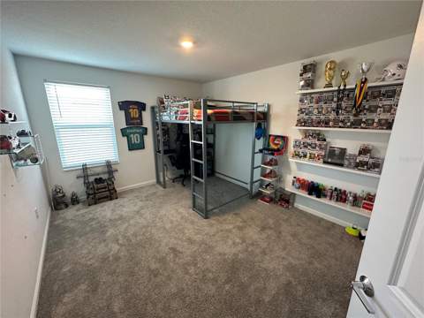 8946 Fluffy Lie Court, Davenport FL - photo 19 of 42