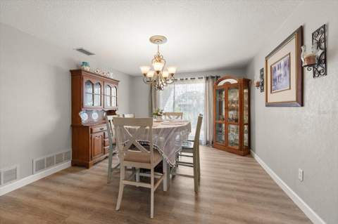 2126 Egret Drive, Clearwater FL - photo 11 of 44