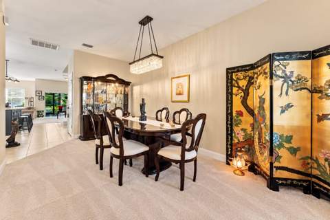 9234 Stone River Place, Riverview FL - photo 6 of 6