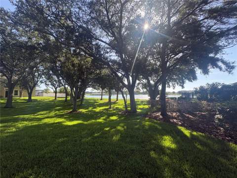 4605 Barnstead Drive, Riverview FL - photo 13 of 16