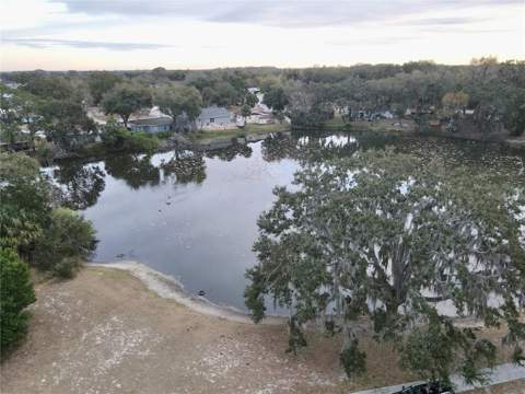 1311 Braebury Drive, Leesburg FL - photo 24 of 24