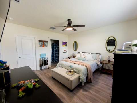 17014 Blister Wing Drive, Wimauma FL - photo 19 of 33