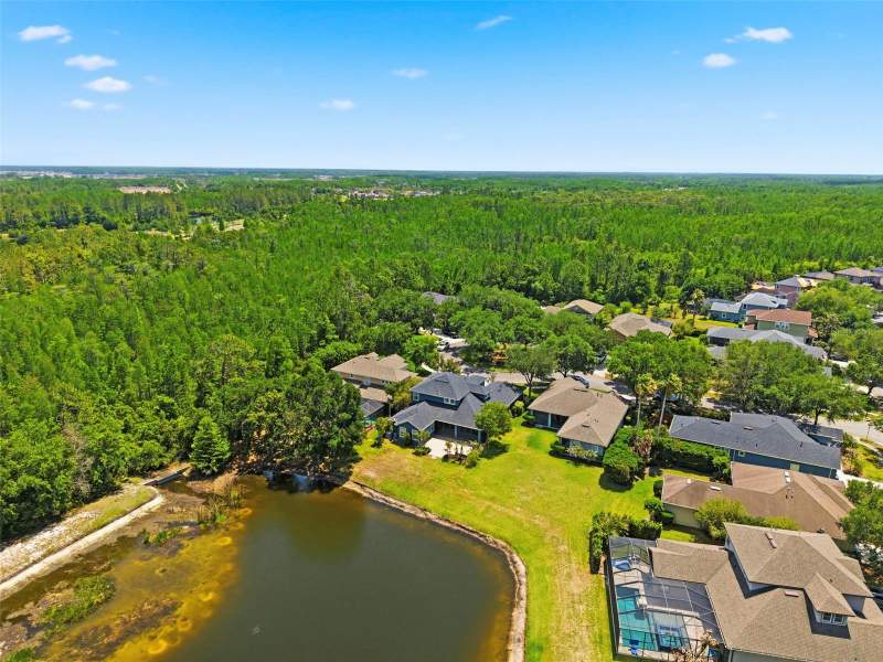 5 bedroom Single Family Residence at 20629 Wild Plum Court, Connerton Village 01 Prcl 101 & 102, Land O Lakes — photo 3
