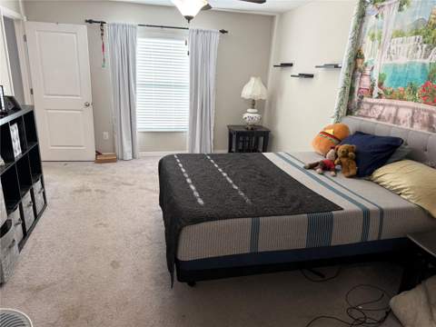 6629 Wagon Trail Street, Zephyrhills FL - photo 12 of 16