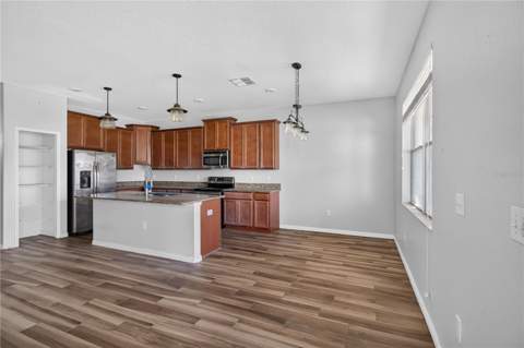 10919 Rainbow Pyrite Drive, Wimauma FL - photo 7 of 31