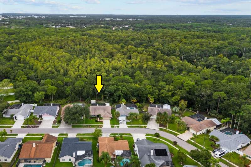 4 bedroom Single Family Residence at 11910 Steppingstone Blvd., Countryway Prcl B Trct 21 Ph 2, Tampa — photo 3