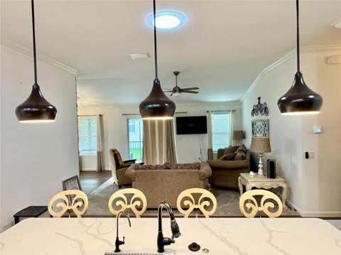 810 Roseapple Avenue, Lady Lake FL - photo 11 of 22