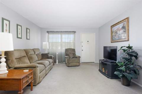 8101 11th Street #319, St Petersburg FL - photo 6 of 36