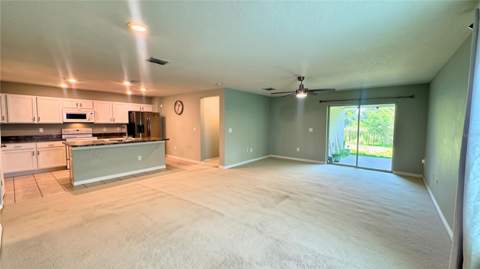 11636 Little River Way, Parrish FL - photo 11 of 32