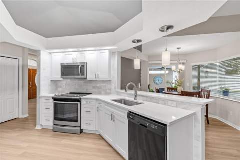 22861 Sterling Manor Loop, Lutz FL - photo 11 of 35