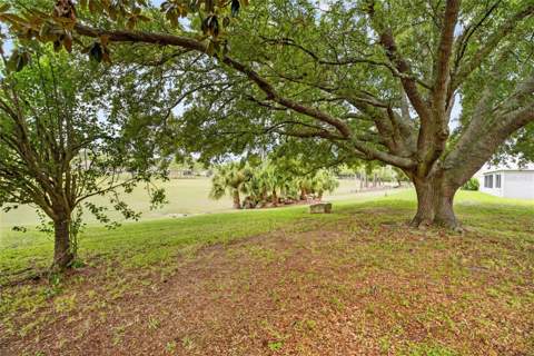 9077 SW 91st Circle, Ocala FL - photo 22 of 23
