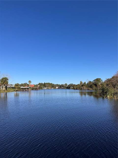 3412 Lake Diane Road, Tavares FL - photo 14 of 16
