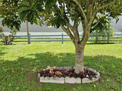 1340 Sawdust Trail, Kissimmee FL - photo 23 of 24