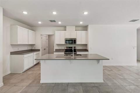 1113 Majesty Palm Circle, Deland FL - photo 11 of 25