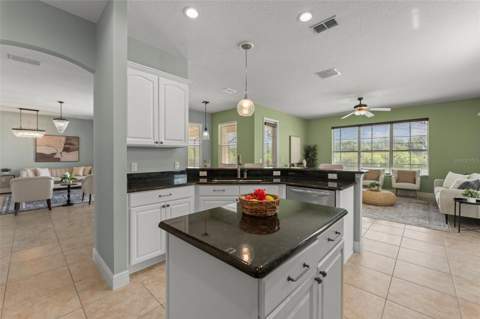 3790 Eagle Isle Circle, Kissimmee FL - photo 11 of 82