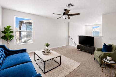 3703 Globe Thistle Drive, Tampa FL - photo 16 of 37