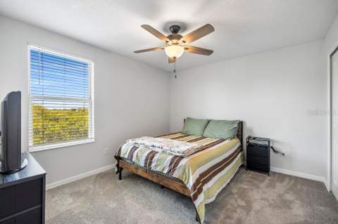 3703 Globe Thistle Drive, Tampa FL - photo 21 of 37