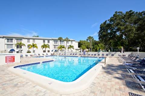 2700 Bayshore Boulevard #11202, Dunedin FL - photo 15 of 29