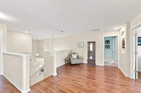 12335 Ballentrae Forest Drive, Riverview FL - photo 8 of 64