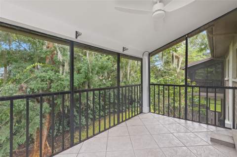 631 Fairmont Avenue #C, Safety Harbor FL - photo 15 of 28