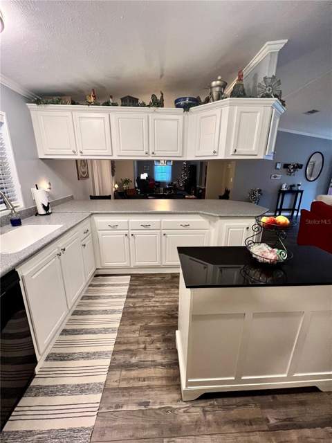 16120 Brookridge Boulevard, Brooksville FL - photo 8 of 43