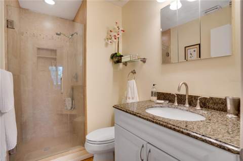 514 Tabor Court #C, Safety Harbor FL - photo 18 of 50