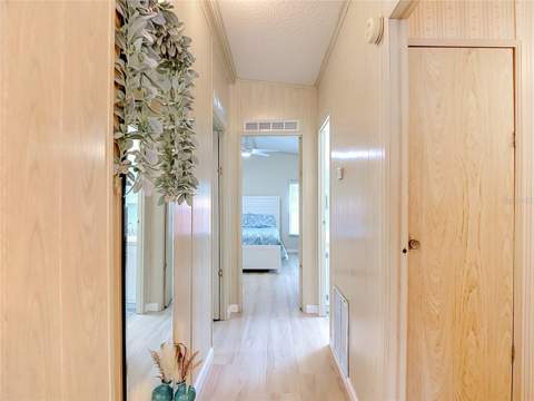 4919 Blanco Drive, Zephyrhills FL - photo 12 of 26