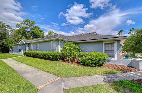 9815 Gingerwood Drive, Tampa FL - photo 16 of 48
