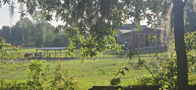 4 bedroom Manufactured Home at 9715 SW 30th Terrace, Leighton Estates, Ocala — photo 2