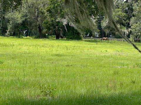 3 bedroom Farm at 14854 NE Jacksonville Road, Citra, Citra — photo 4