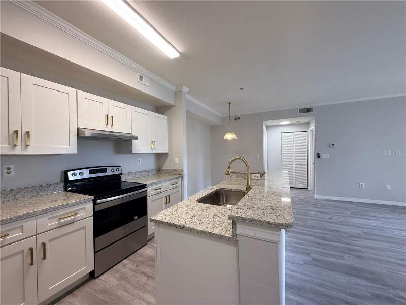 2 bedroom Condominium at 5618 Pinnacle Heights Circle #305, The Pinnacle At Carrollwood A, Tampa — photo 4