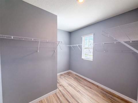 3074 Timber Hawk Circle, Ocoee FL - photo 12 of 35
