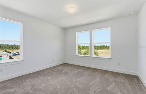 1662 Shields Point, Zephyrhills FL - photo 19 of 29