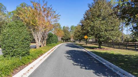 24250 Deep Springs Loop, Eustis FL - photo 7 of 11