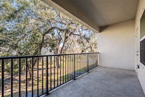 4607 Tuscan Loon Drive, Tampa FL - photo 21 of 50