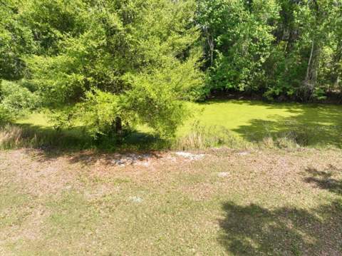 1415 N Wabash Avenue, Lakeland FL - photo 9 of 17