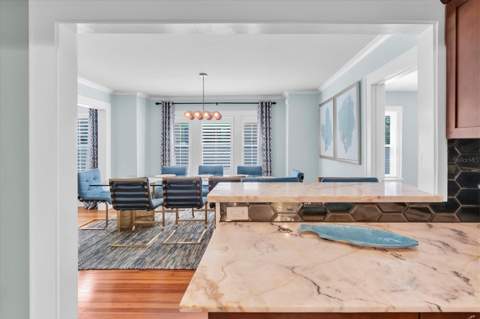 248 14th Avenue, St Petersburg FL - photo 21 of 49