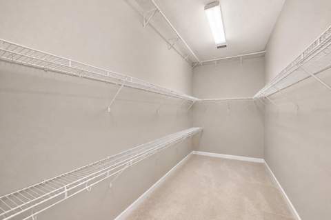 13750 Dowling Lane, Odessa FL - photo 18 of 45