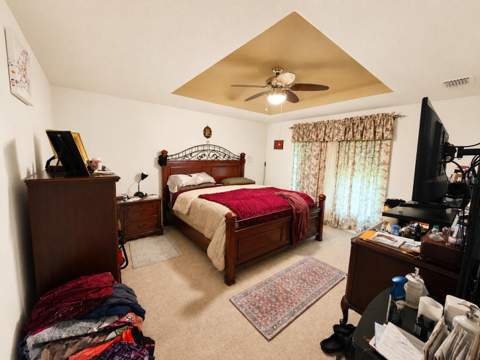 9305 Mandrake Court, Tampa FL - photo 9 of 32