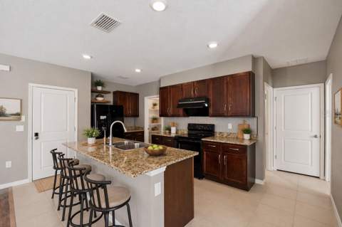 32756 Ansley Bloom Lane, Wesley Chapel FL - photo 11 of 48