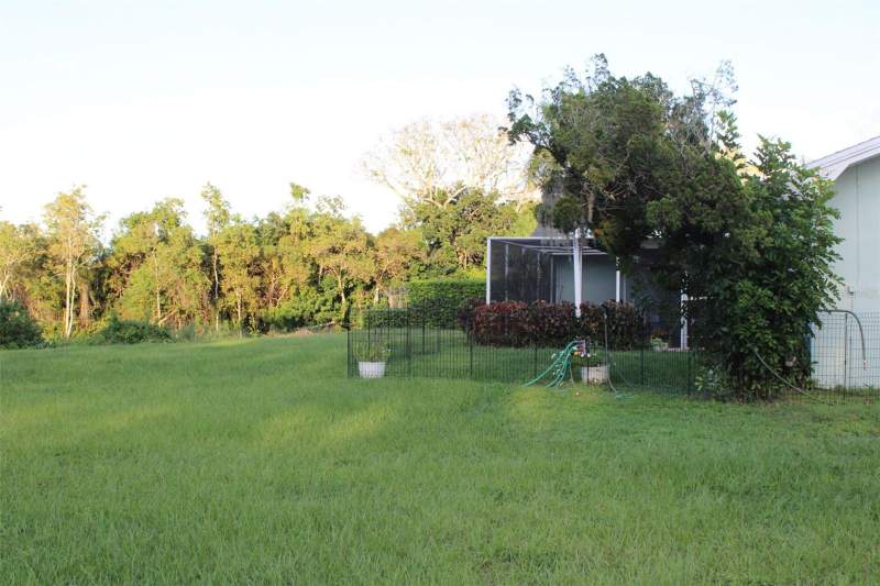 3 bedroom Single Family Residence at 1304 Alameda Avenue, Del Oro Groves 1st Add, Clearwater — photo 5