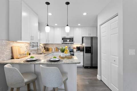 14009 Dominion Court, Tampa FL - photo 6 of 6