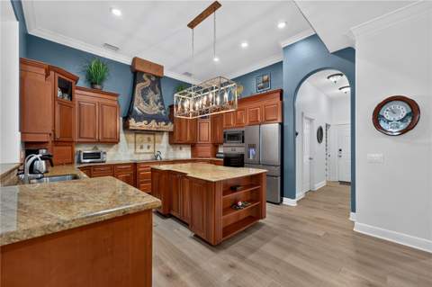 21732 Shamu Drive, Land O Lakes FL - photo 17 of 99